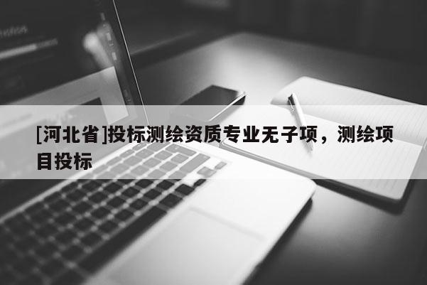 [河北省]投标测绘资质专业无子项，测绘项目投标
