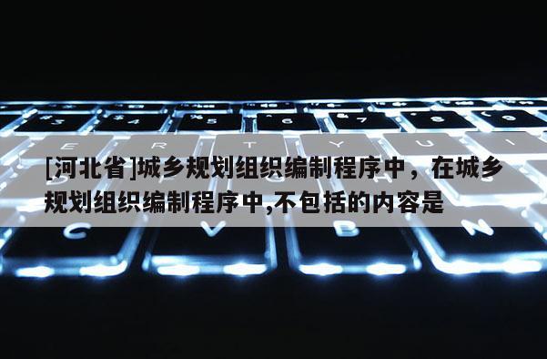 [河北省]城乡规划组织编制程序中，在城乡规划组织编制程序中,不包括的内容是
