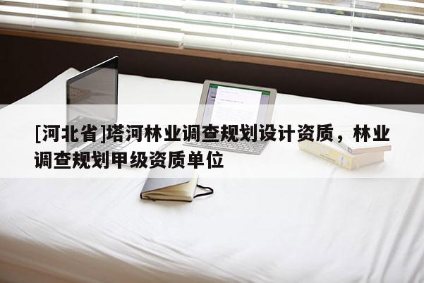 [河北省]塔河林业调查规划设计资质，林业调查规划甲级资质单位