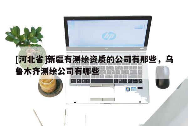 [河北省]新疆有测绘资质的公司有那些，乌鲁木齐测绘公司有哪些