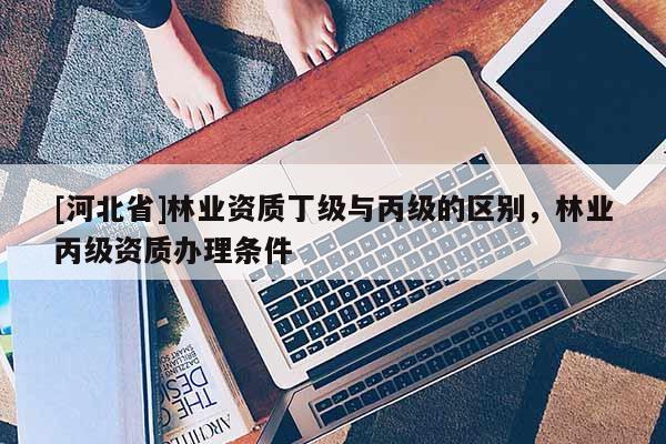 [河北省]林业资质丁级与丙级的区别，林业丙级资质办理条件