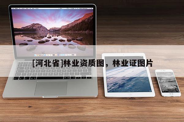 [河北省]林业资质图，林业证图片