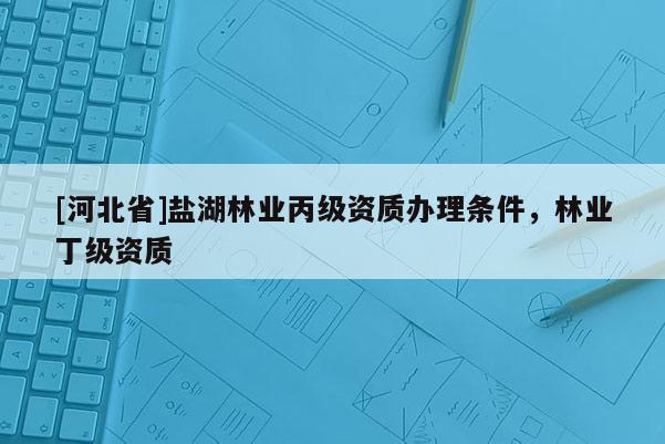 [河北省]盐湖林业丙级资质办理条件，林业丁级资质
