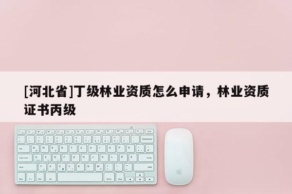 [河北省]丁级林业资质怎么申请，林业资质证书丙级