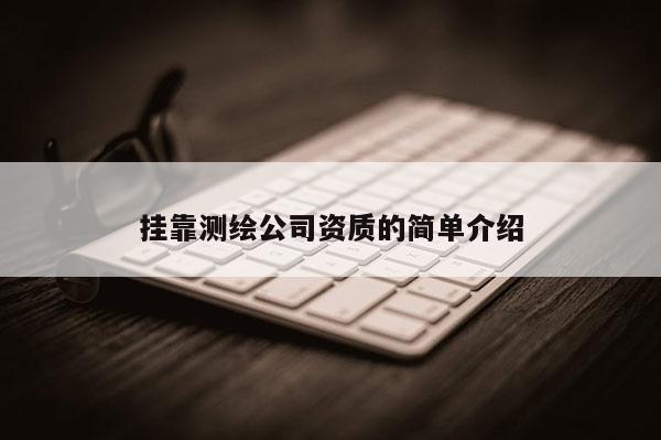 挂靠测绘公司资质的简单介绍