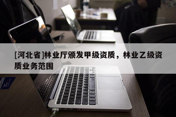 [河北省]林业厅颁发甲级资质，林业乙级资质业务范围