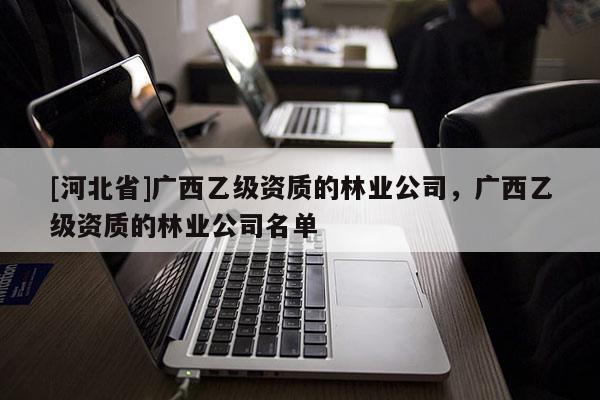[河北省]广西乙级资质的林业公司，广西乙级资质的林业公司名单