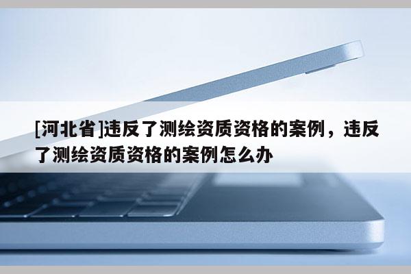 [河北省]违反了测绘资质资格的案例，违反了测绘资质资格的案例怎么办