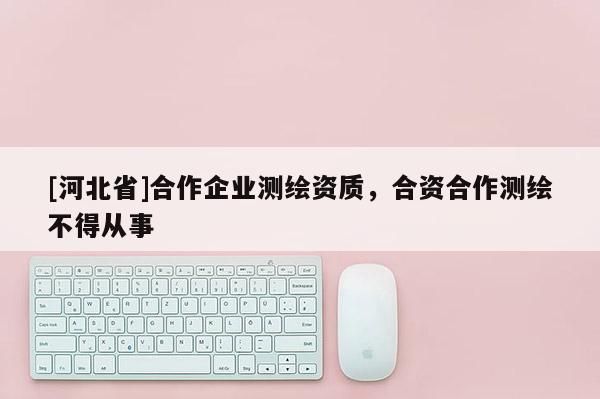 [河北省]合作企业测绘资质，合资合作测绘不得从事
