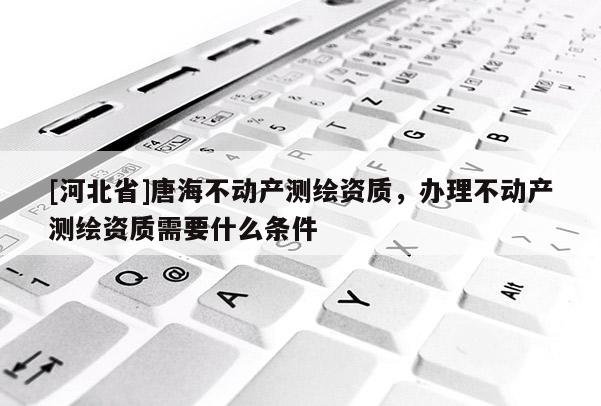 [河北省]唐海不动产测绘资质，办理不动产测绘资质需要什么条件