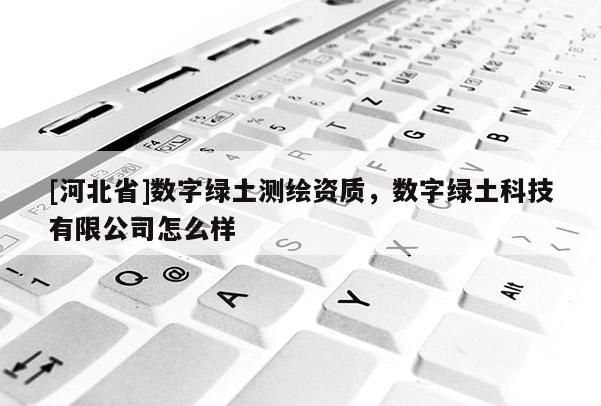 [河北省]数字绿土测绘资质，数字绿土科技有限公司怎么样