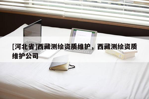 [河北省]西藏测绘资质维护，西藏测绘资质维护公司