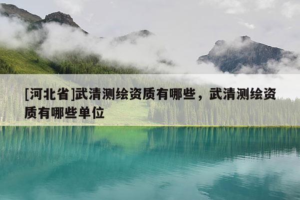 [河北省]武清测绘资质有哪些，武清测绘资质有哪些单位