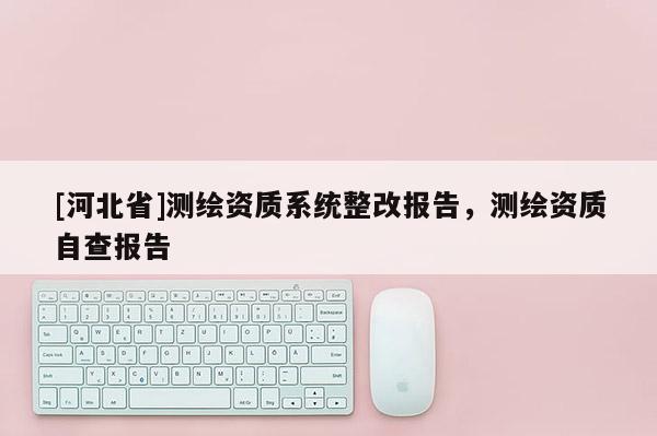 [河北省]测绘资质系统整改报告，测绘资质自查报告