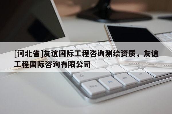 [河北省]友谊国际工程咨询测绘资质，友谊工程国际咨询有限公司