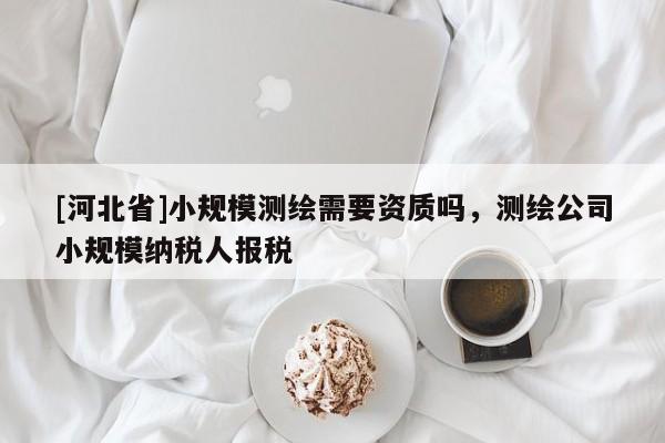 [河北省]小规模测绘需要资质吗，测绘公司小规模纳税人报税