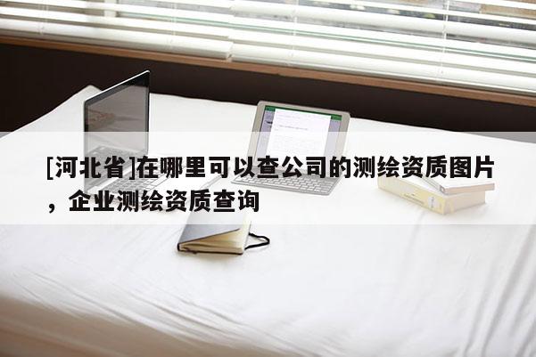 [河北省]在哪里可以查公司的测绘资质图片，企业测绘资质查询