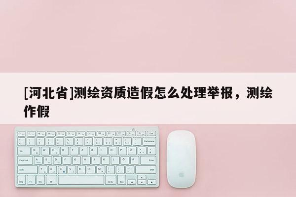 [河北省]测绘资质造假怎么处理举报，测绘作假