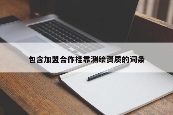 包含加盟合作挂靠测绘资质的词条