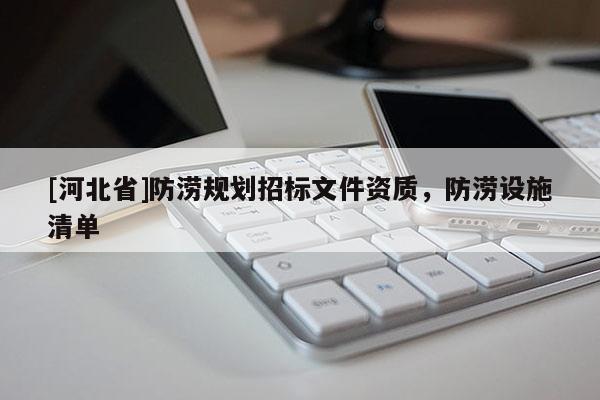 [河北省]防涝规划招标文件资质，防涝设施清单
