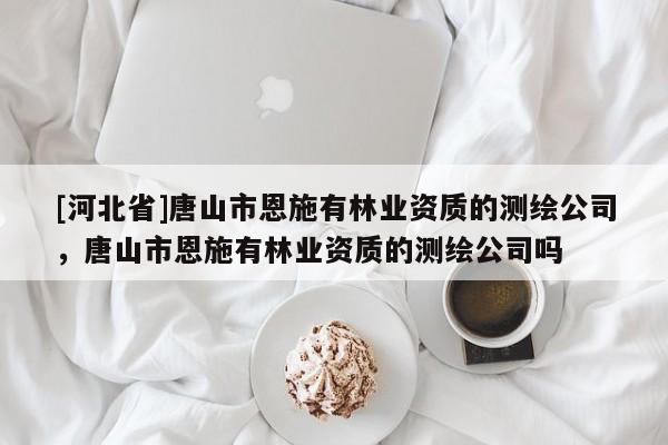 [河北省]唐山市恩施有林业资质的测绘公司，唐山市恩施有林业资质的测绘公司吗